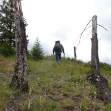 Hiking Up