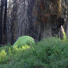 Moose Ridge Camp