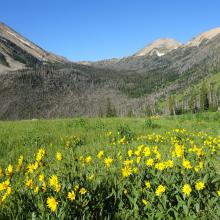 Granite Peak Valley