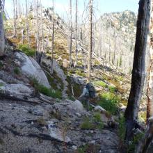 On the Trail