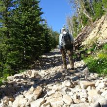 OHV Trail