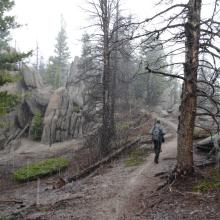 Hiking up