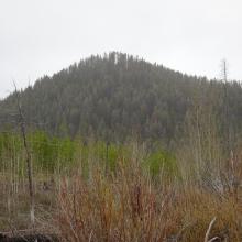 The summit