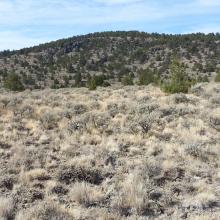 Little Glass Butte