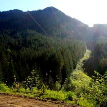 Greenleaf Peak