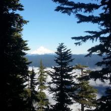 Mt. Hood views