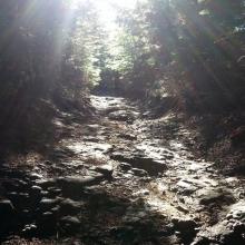 OHV trail to summit