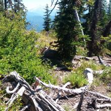There be no trail