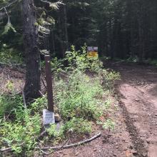 . Look for the bullet-riddled “narrow road” warning sign behind, that should sti