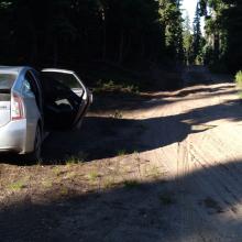 Prius Parking