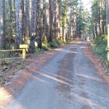 Gate on Prices Lake Rd