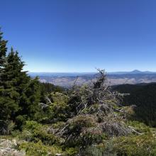 Panorama 1