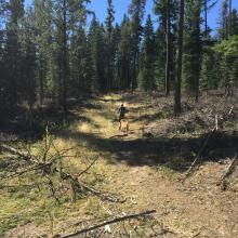 Trail down low