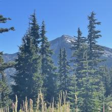 Engle Peak edge of Cabinet Mountains Wilderness Area