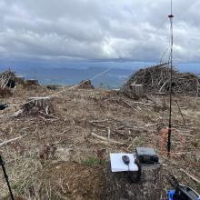 FT-857D radio sitting on a stump with wire dipole antenna set up behind