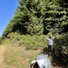Top of a hill with a gravel road and trees. Radio equipment in foreground