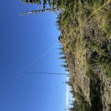 Plenty of room to set up an antenna. 