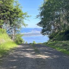 A view of Netarts Bay from a shady road
