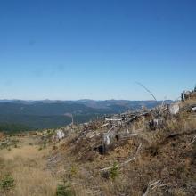 Summit Access Road