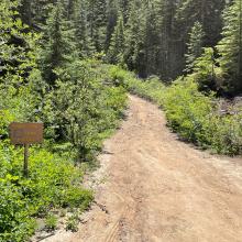PowerLineTrail