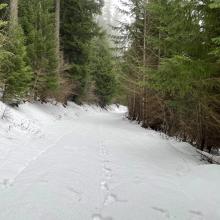 road pic