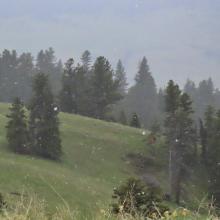 It's SNOWING!!
