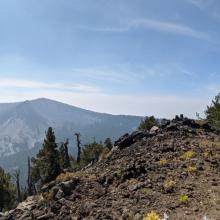 Carmine summit