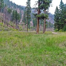 View at BRewster Creek Road