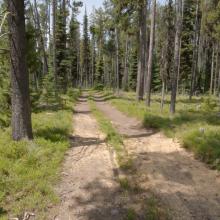 Summit is on the Access road FS 1339B
