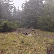 fire lookout piers
