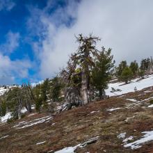 N7KOM-YL hiking