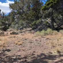 "Trailhead"