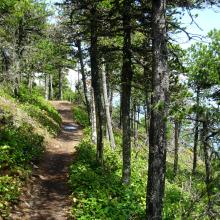 Nice trail