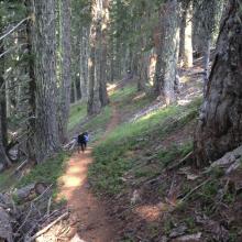 Along the ridgetop