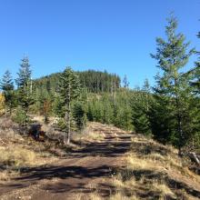 Looking towards summit from where I parked