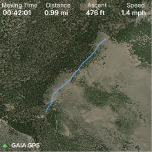 GPS track