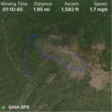 GPS track