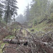 Blowdown