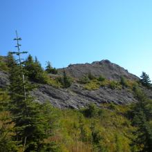 The summit