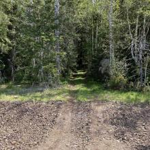 Trail Head