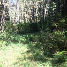 Summit trail